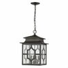 Homeroots 18.75 x 12 x 12 in. Calvert 4-Light Oil-Rubbed Bronze Hanging Lantern 397967